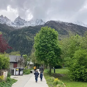 Abeille De Chamonix Mont Blanc
